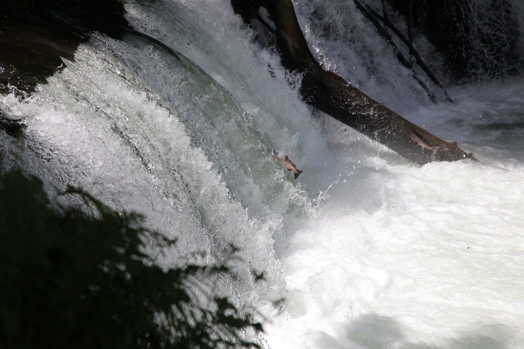 🌊 사쿠라 폭포(사쿠라노타키) 이미지 3